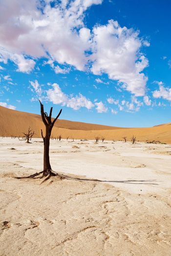 Scenic view of namib desert