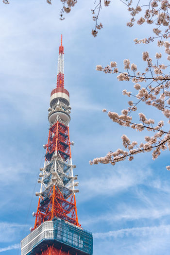 Low angle view of tokyo tower against blue sky during sunny day