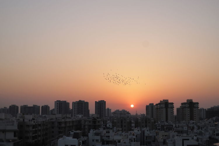 Birds flying over buildings against sky during sunset