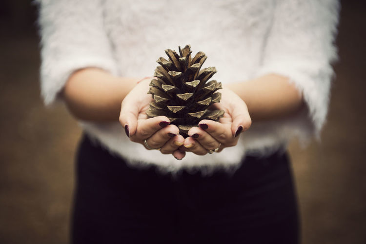 Midsection of woman holding pine cone