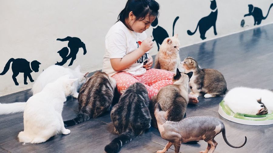 Girl sitting amidst cats on floor