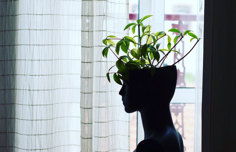 Plants growing in mannequin at home