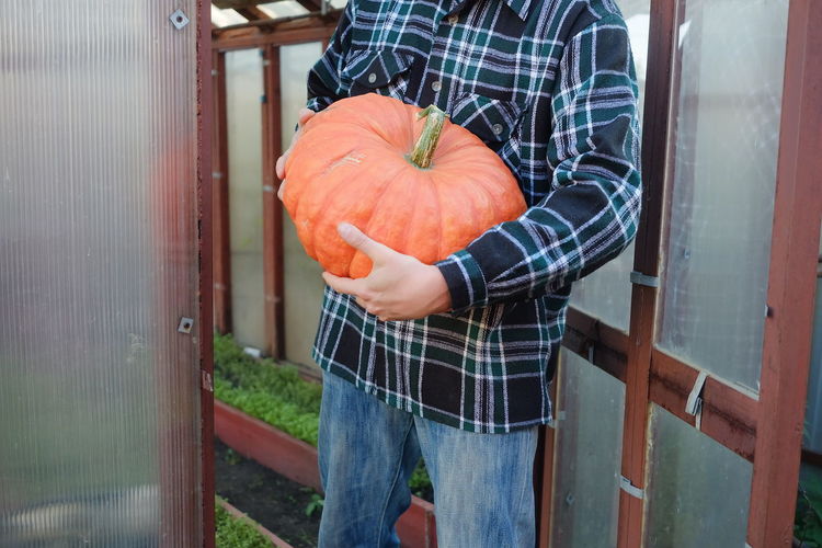 Midsection of man holding pumpkin while standing outdoors