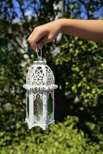 Close-up of hand holding lantern against trees