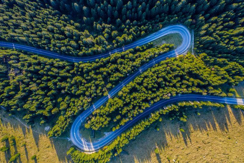 Aerial view of winding road amidst trees in forest
