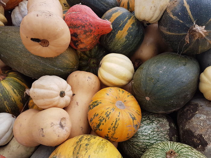 Full frame shot of pumpkins in market
