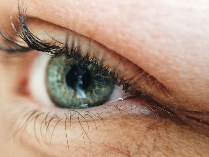 Extreme close-up of person eye