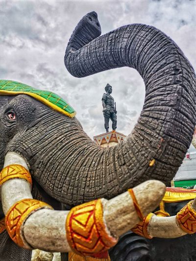 Low angle view of elephant against sky