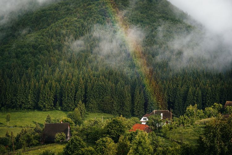 Scenic view of village with rainbow and pine trees in mountain forest