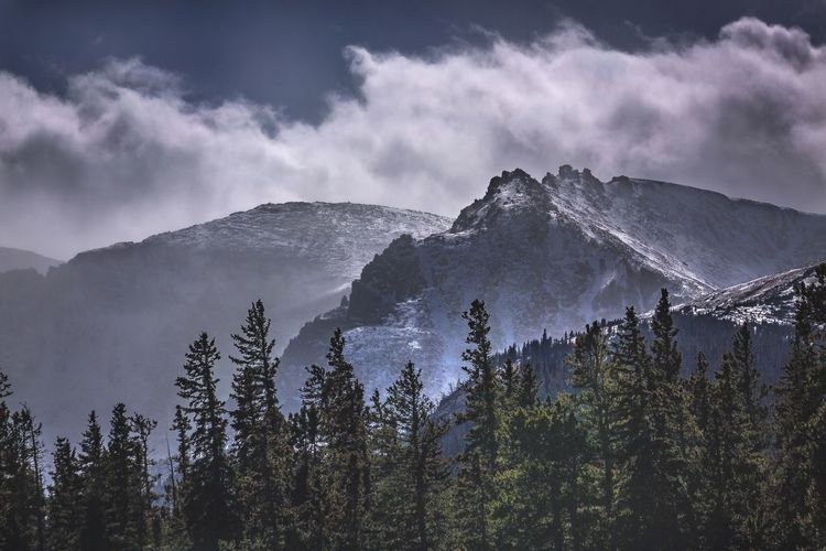 Scenic view of pine trees against sky during winter