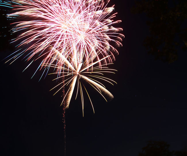 Low angle view of firework display at night