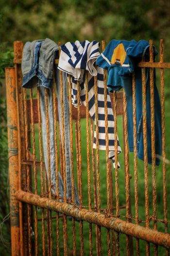 Close-up of laundry on fence