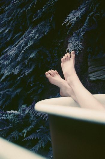 Low section of woman relaxing in bathtub by tree