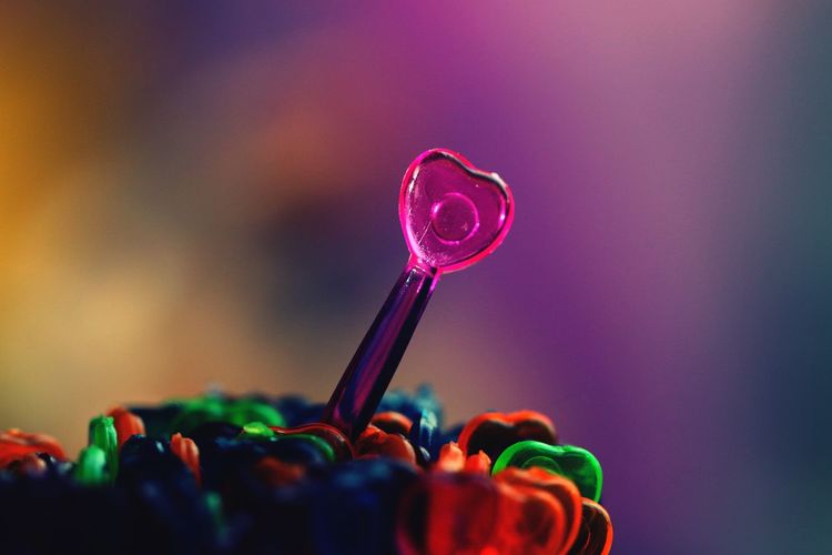 Close-up of multi colored decoration