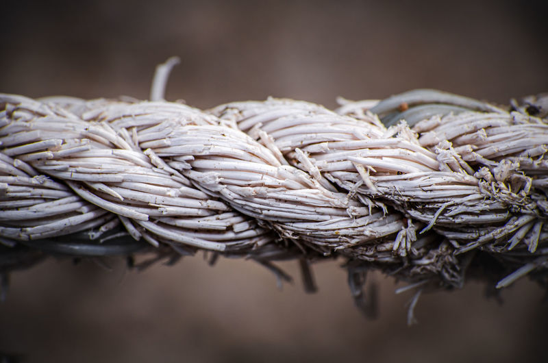 Characteristics of a nylon rope when being outdoors for a long time, close up.