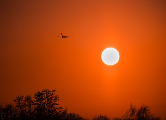 Low angle view of silhouette tree against orange sky