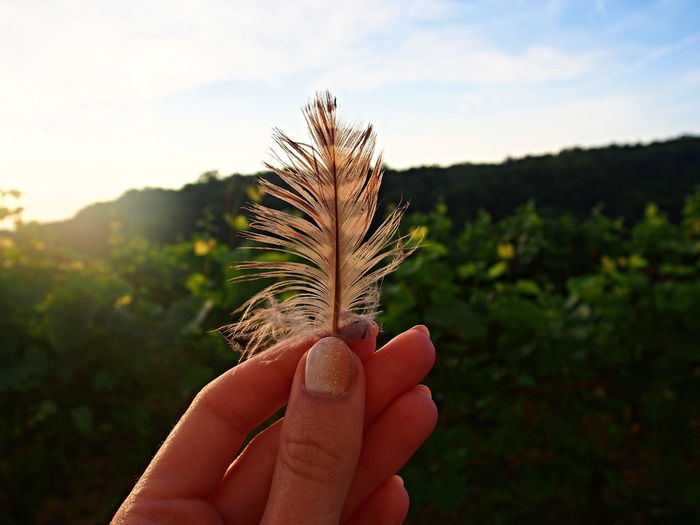 Close-up of woman holding feather against sky