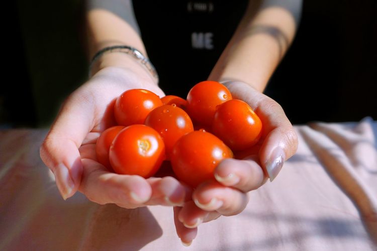 Close-up of hand holding cherry tomatoes