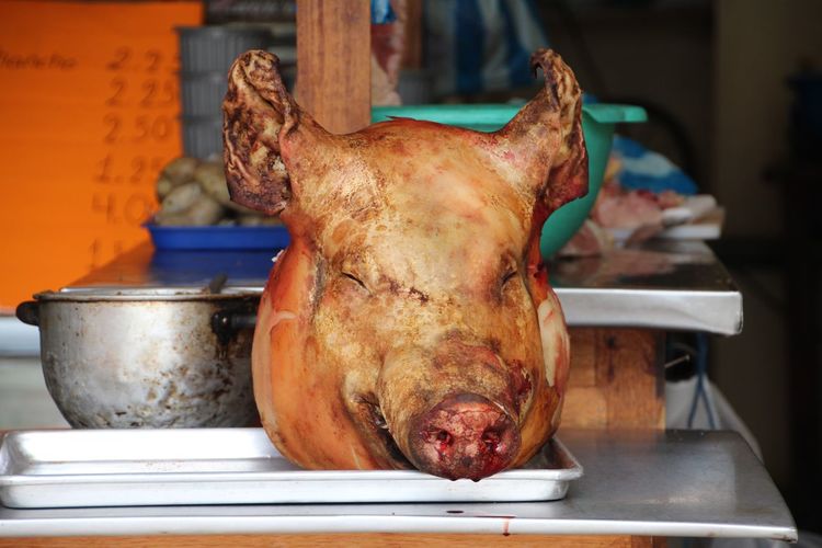 Dead pig head on tray