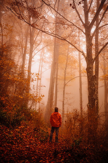 Man standing by trees in forest during autumn