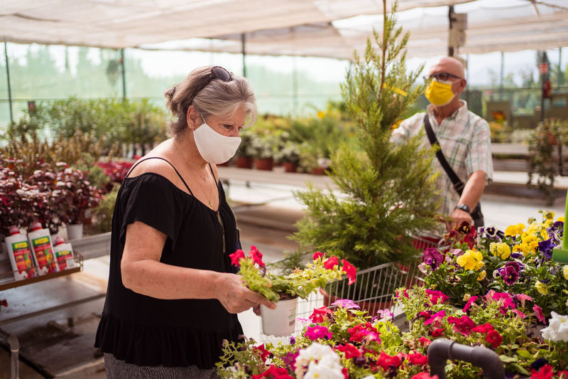 Female buyer in cloth mask picking potted plant with blooming flowers against partner with juniper tree in trolley in garden shop