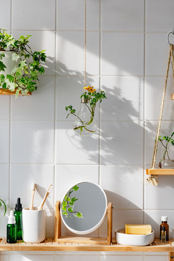Potted plant on table