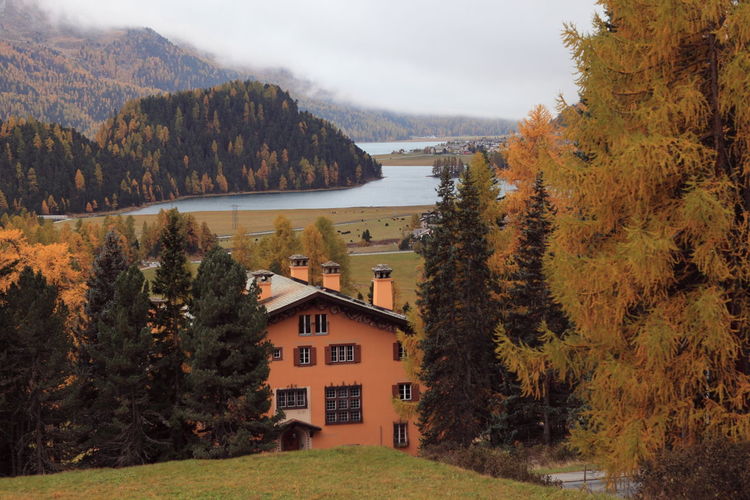 Scenic view of trees and houses against sky during autumn