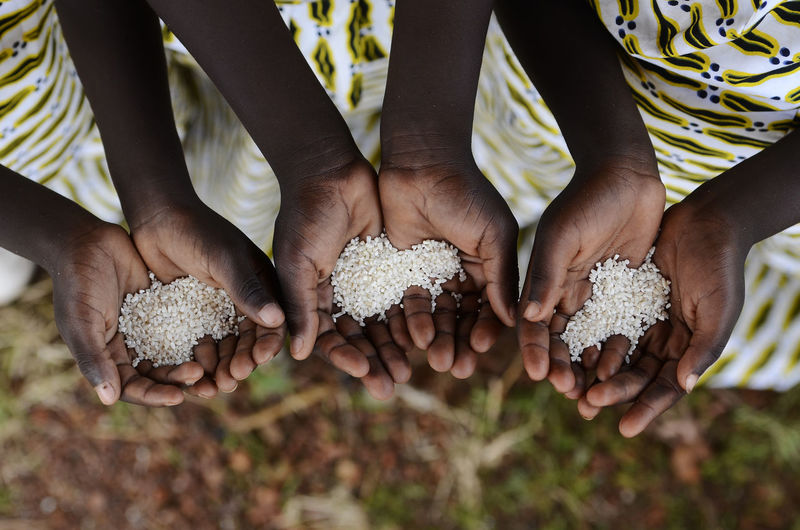 Close-up of cupped hands holding rice 