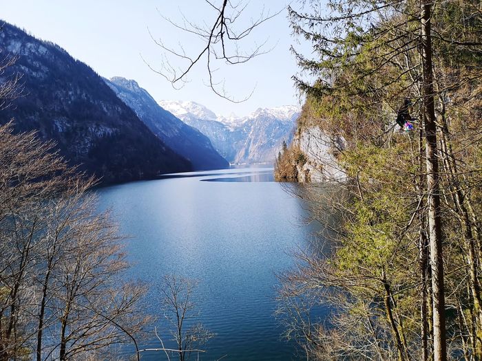 Die schönheit, the beauty 