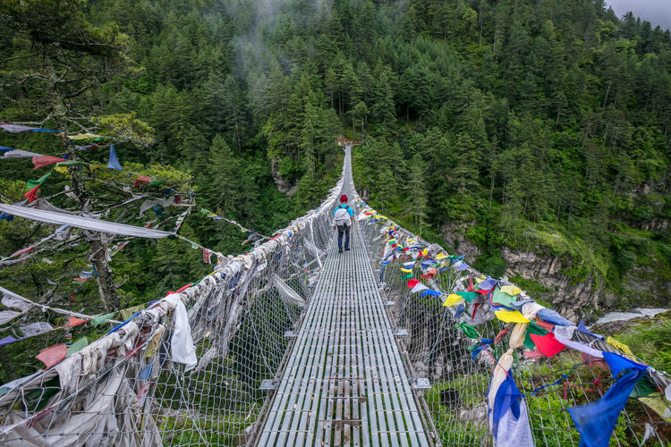 Person walking on footbridge in forest