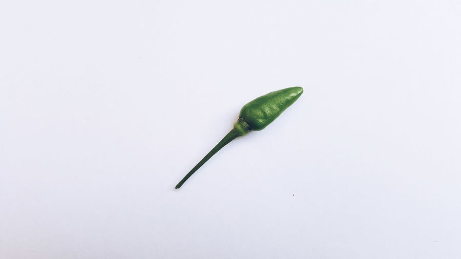 High angle view of green chili pepper against white background