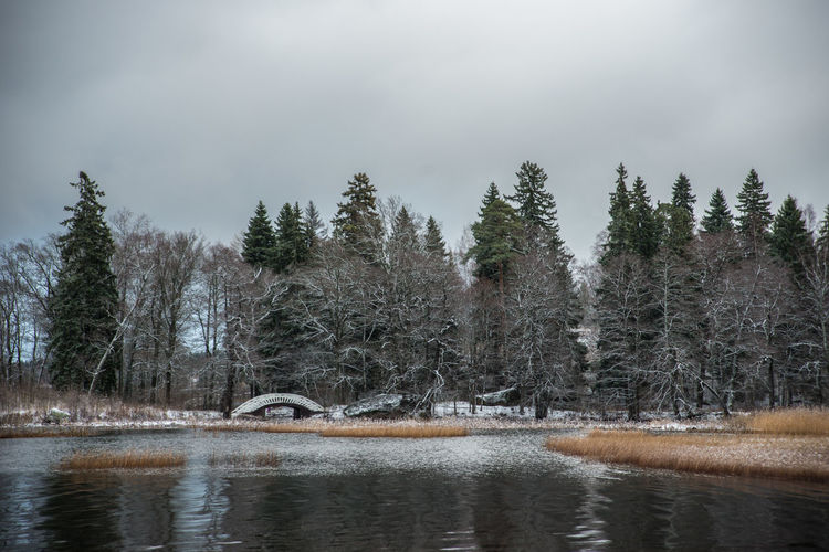 Scenic view of lake against trees during winter8