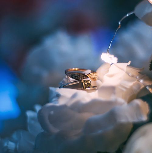Close-up of illuminated wedding rings
