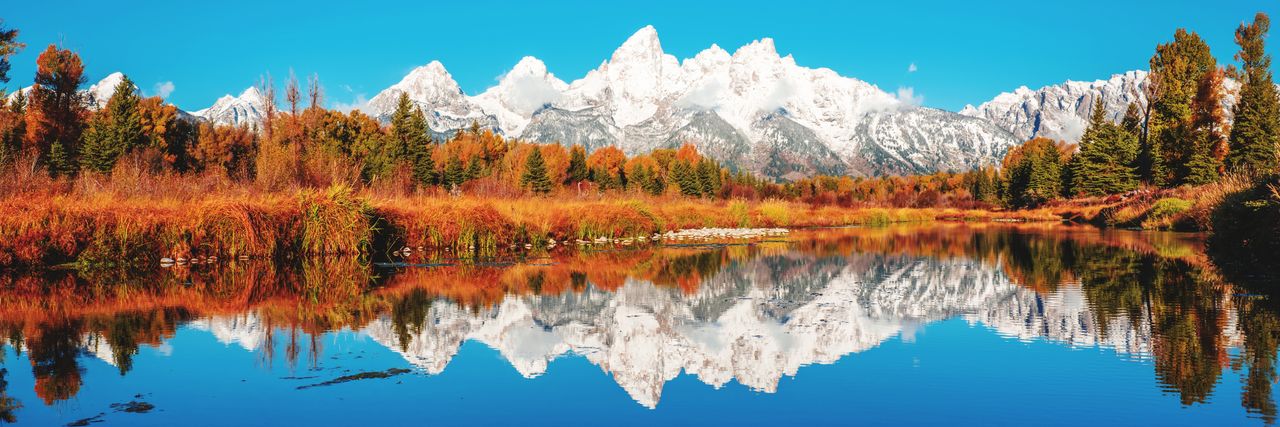 Reflection of trees on lake during autumn