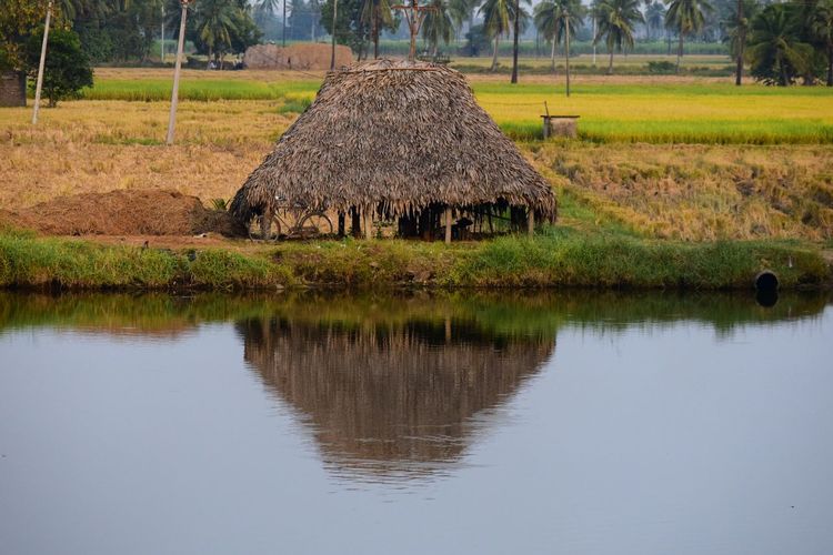 Bicycle parked over a poorman's hut