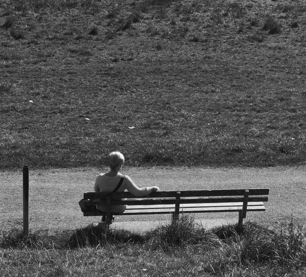 Rear view of man sitting on bench in grassy field