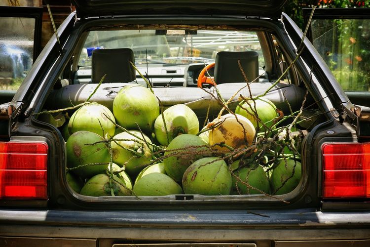 Fruits growing in car