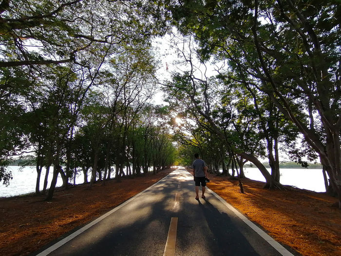 Rear view of man walking on road amidst trees