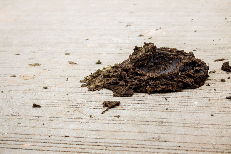 soil