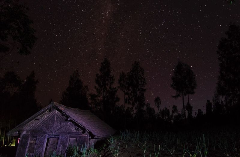 Panoramic view of trees on field against sky at night