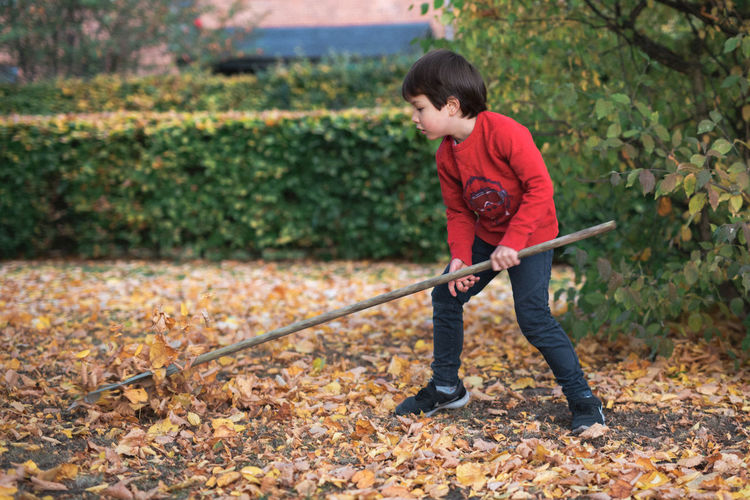 Full length of boy cleaning leaves on land