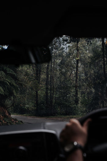 Cropped hand of man driving car in forest