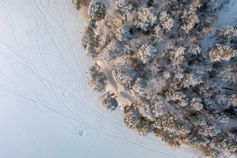 Footprints, animal prints and ski tracks on a frozen lake kaitalampi, espoo, vihti, finland