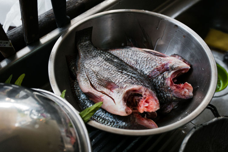 High angle view of fish in bowl on kitchen counter