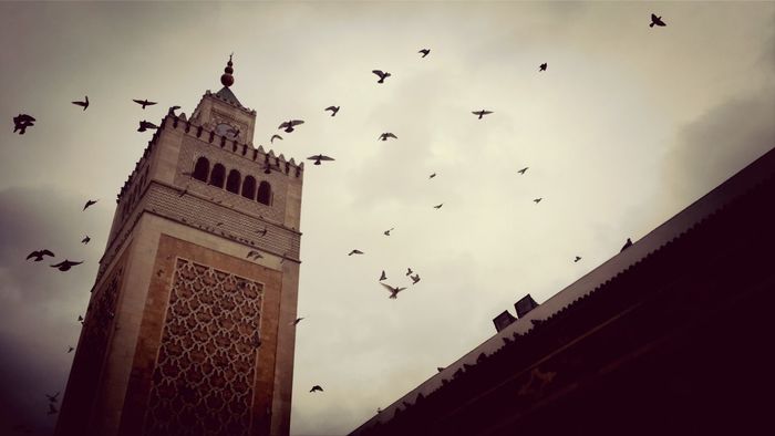 Low angle view of al-zaytuna mosque against birds flying sky