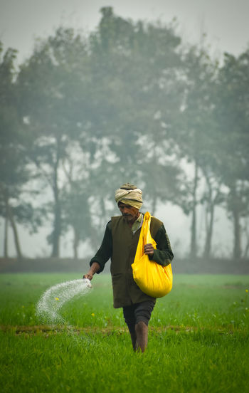 Man spreading fertilizers while walking in farm