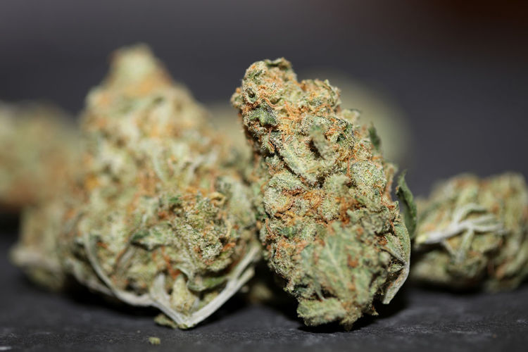 Medical marihuana buds close up background cannabis sativa super lemon haze big size high quality