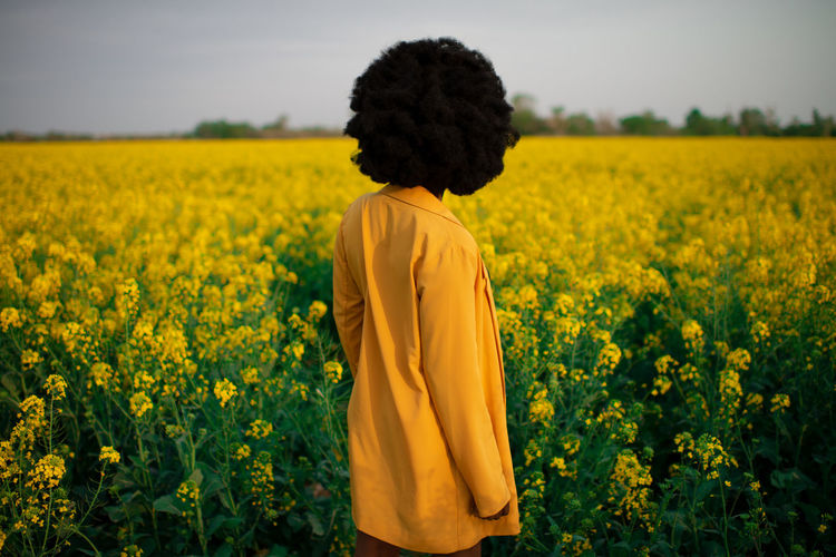 Back view of unrecognizable young african american female with curly hair dressed in black and yellow clothes while standing amidst bright yellow flowers in blooming field