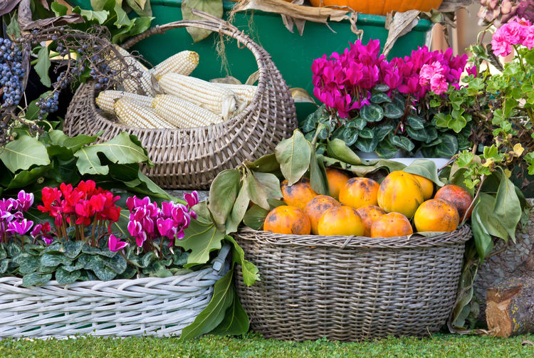 Various fruits in basket at market stall