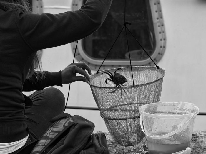 Close up of crabbing